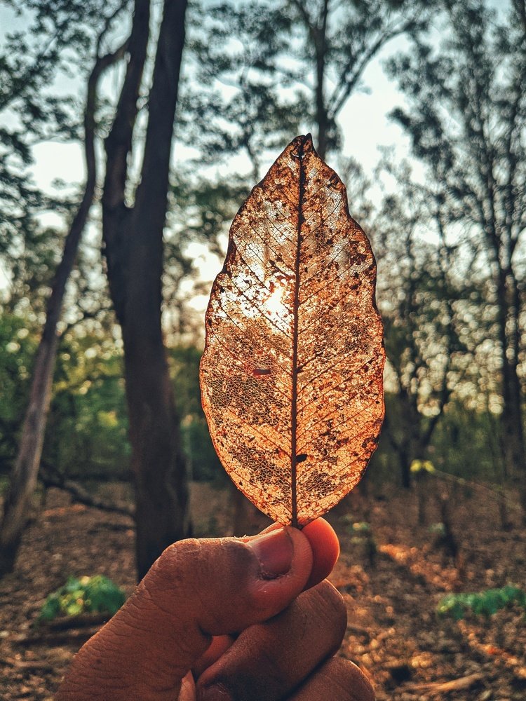 Photograph by Akash Kumar