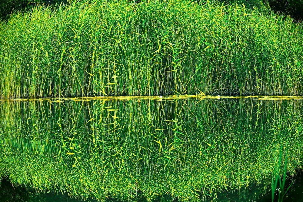 Photograph by Родосская Нонна