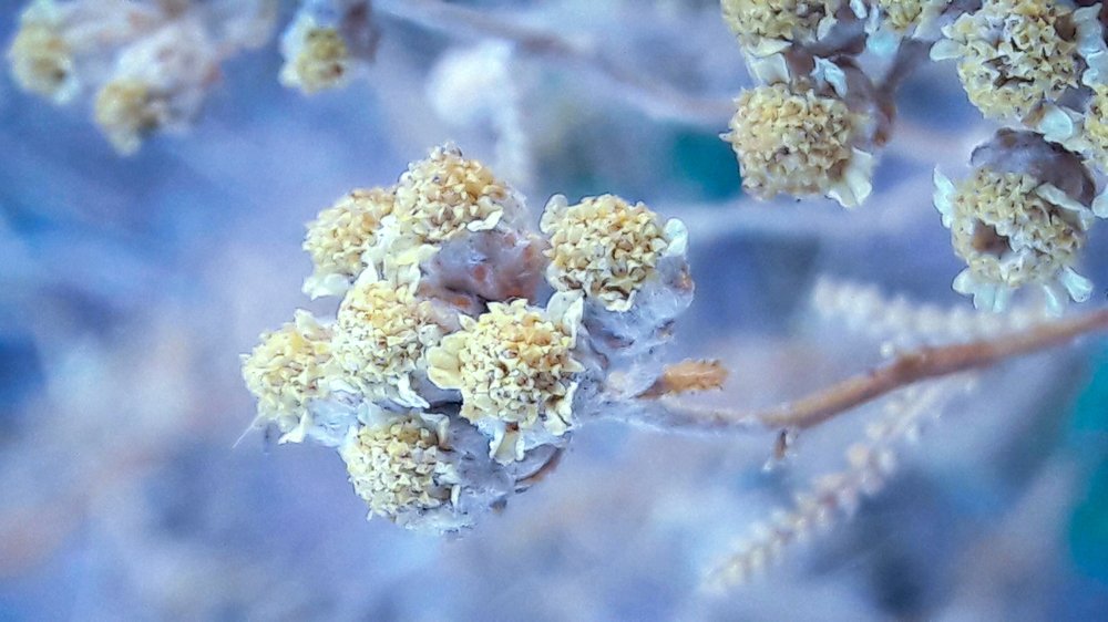 Photograph by Mozhgan Fotouhi