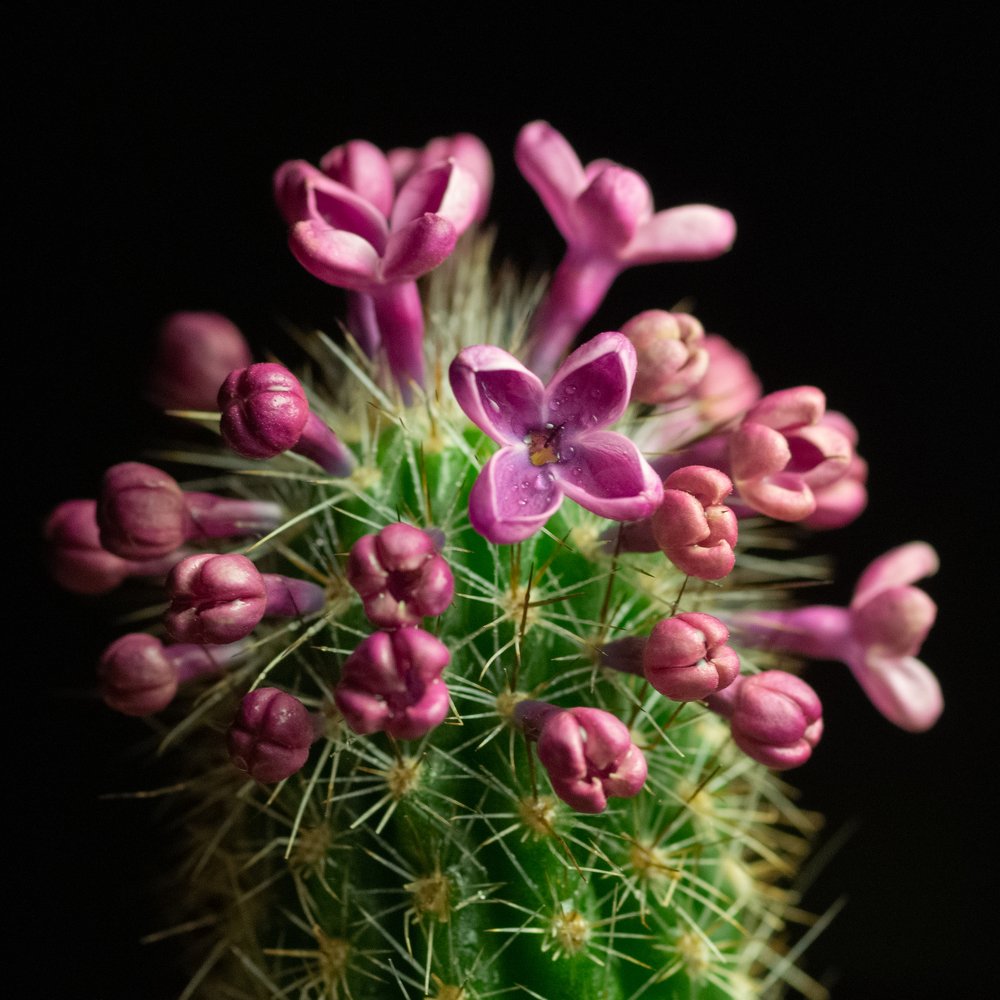 Photograph by Анастасия Яныкина