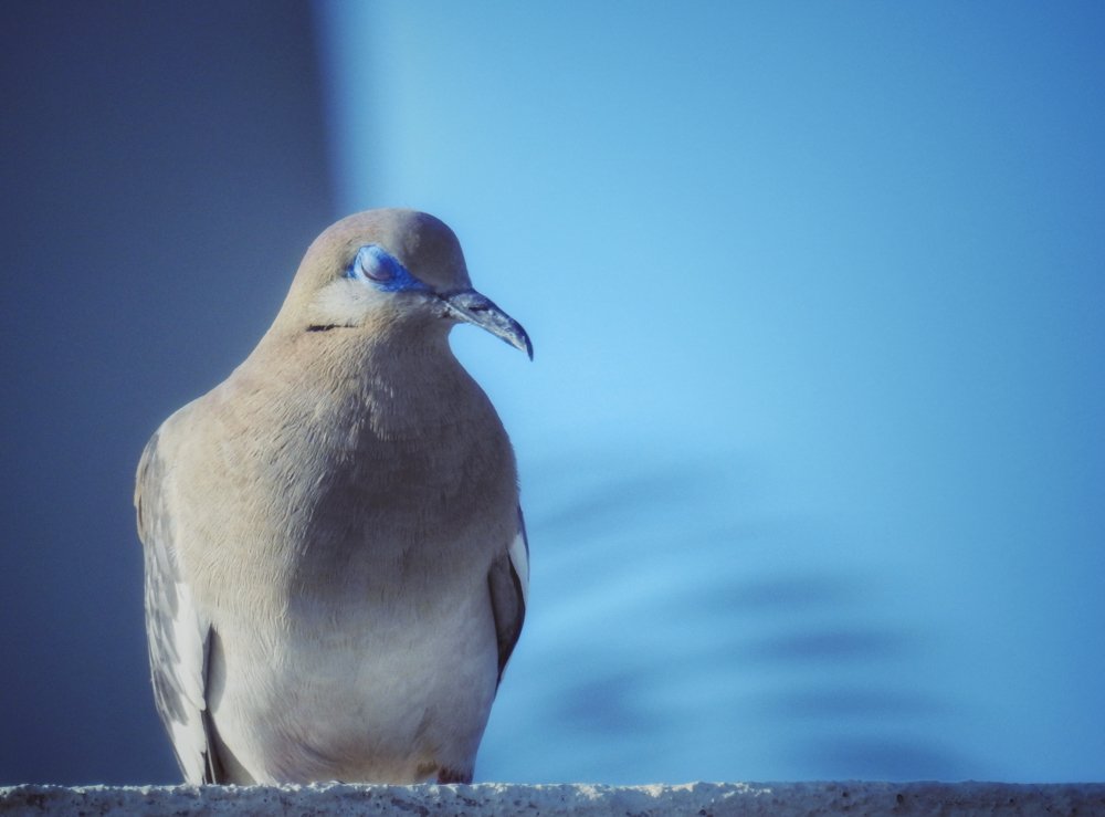 Фотография автора Gabriela Bonilla