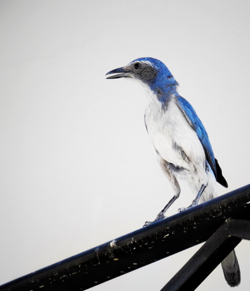 Фотография автора Gabriela Bonilla