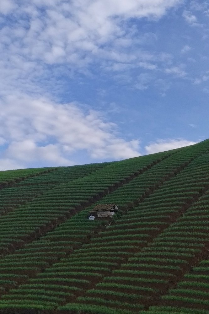 Photograph by Muhammad Ferdian