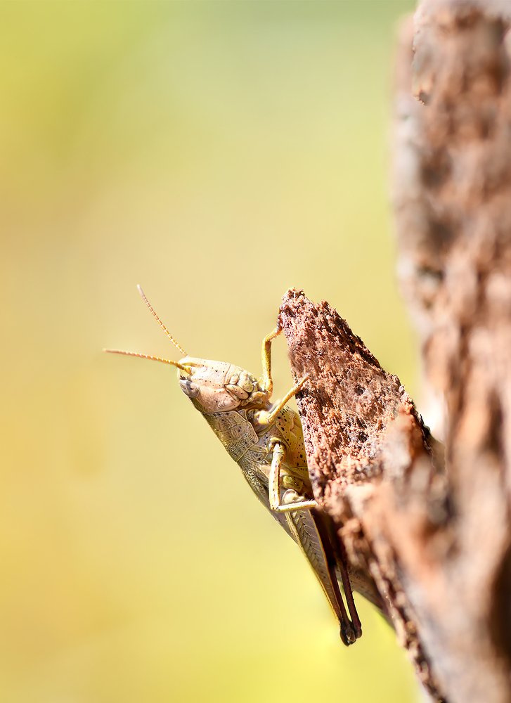 Photograph by Mohammad Rajabzadeh