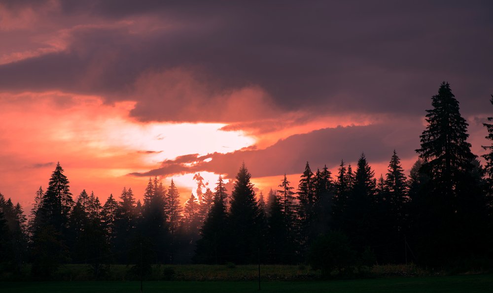 Photograph by Mohammad Rajabzadeh