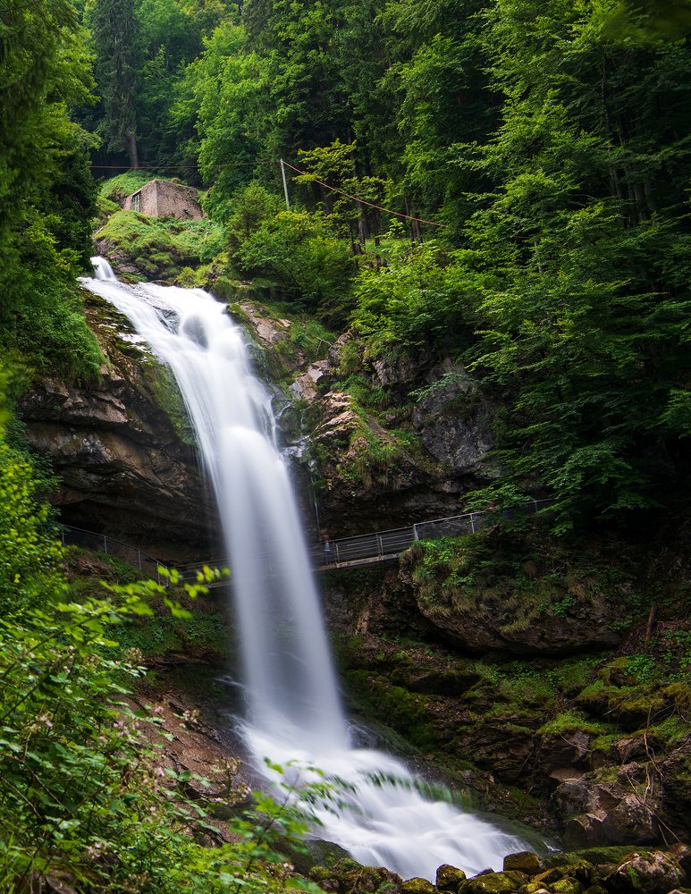 Photograph by Mohammad Rajabzadeh