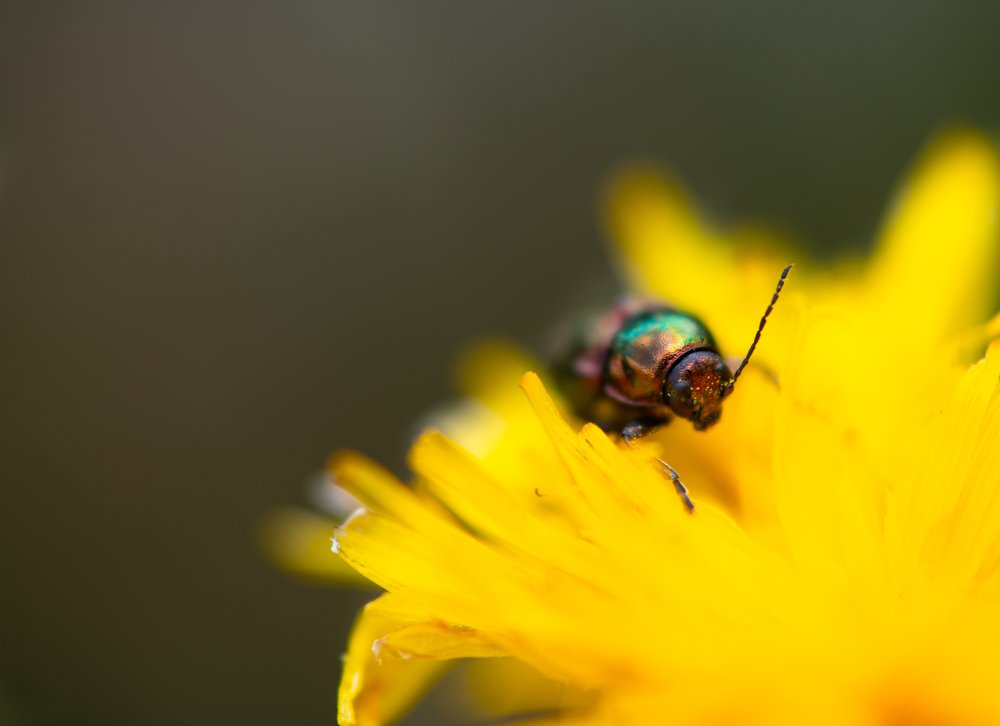 Photograph by Mohammad Rajabzadeh