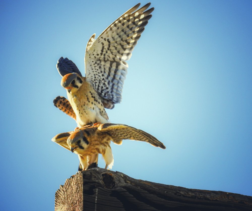 Фотография автора Gabriela Bonilla