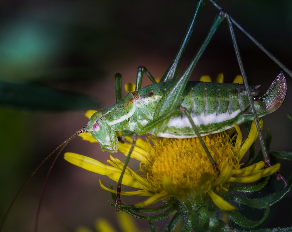 Photograph by Евгений Перемышлев