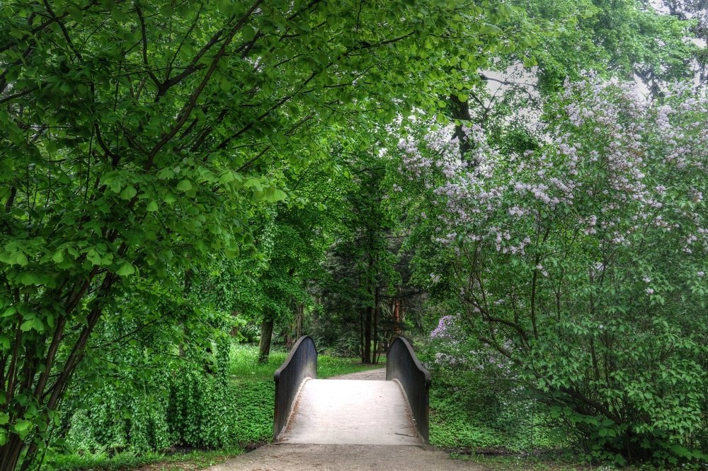 Photograph by Anna Banasiak