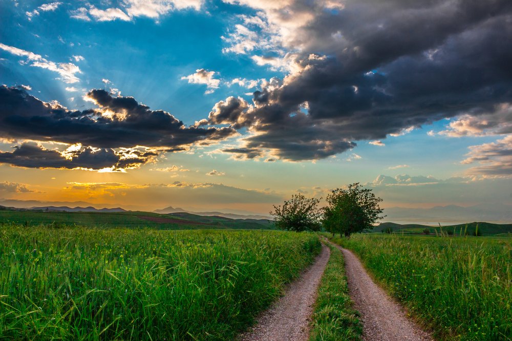 Photograph by Rawand Saeed Kakashekh