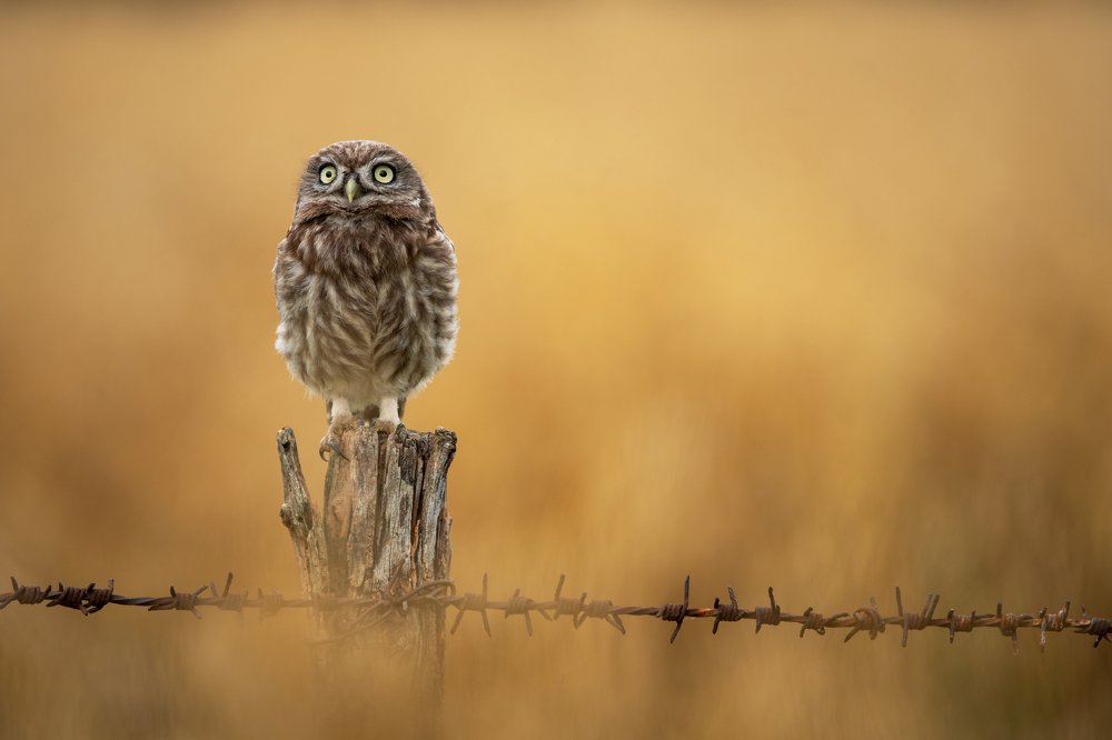 Photograph by Rok Štirn