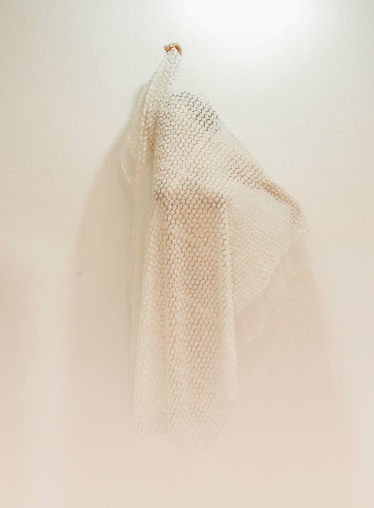 Photograph by somayeh tosifiyan