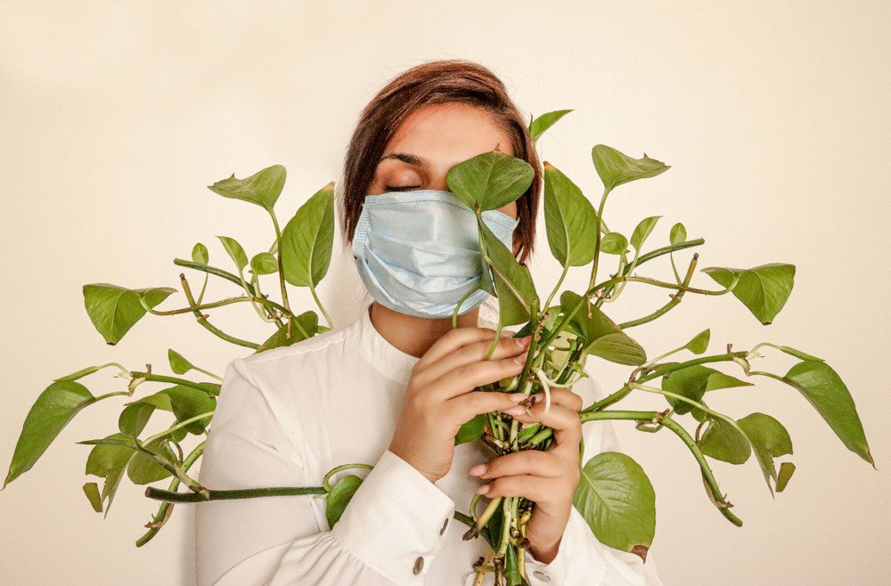 Photograph by somayeh tosifiyan