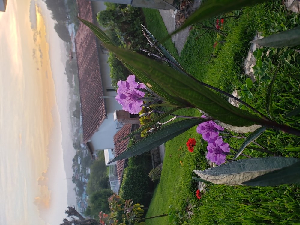 Photo #4905874