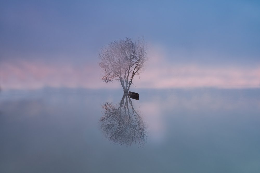 Photograph by Pedro Ribeiro