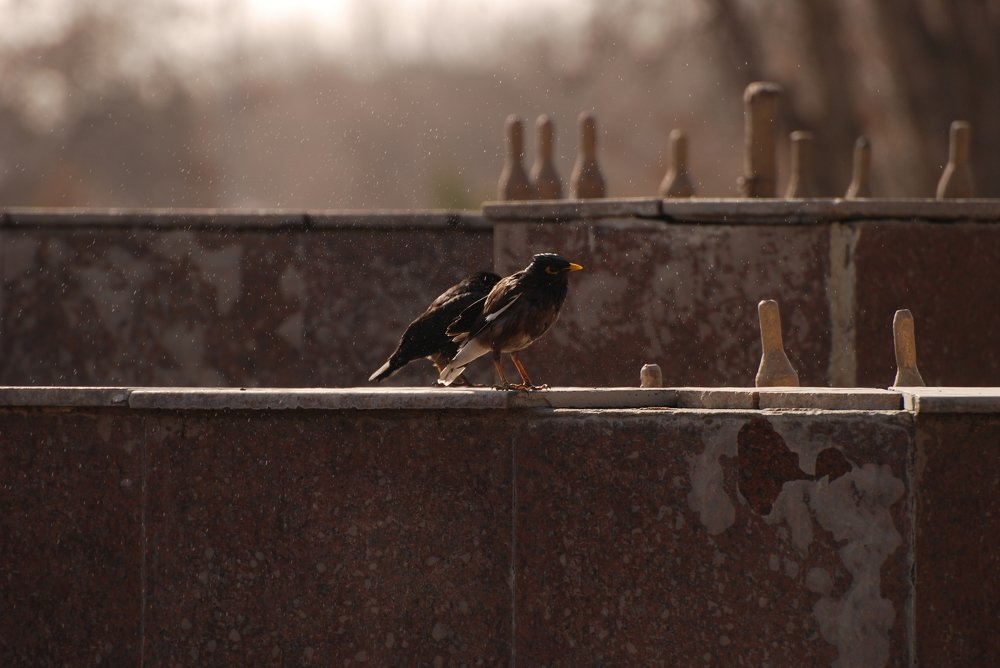 Photograph by Михаил Васильченко