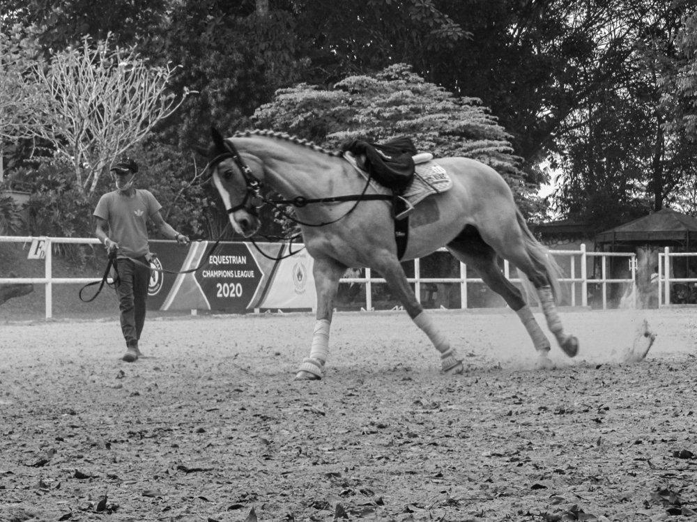 Photograph by Albert Maramis