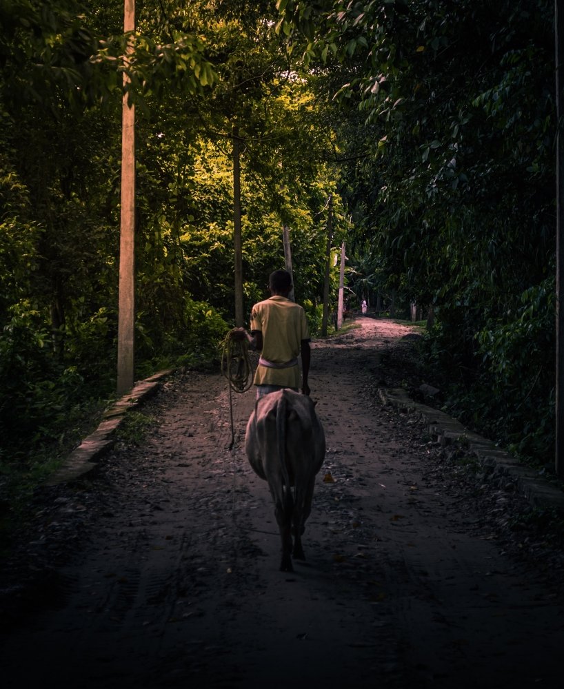 Photograph by Nishant Das