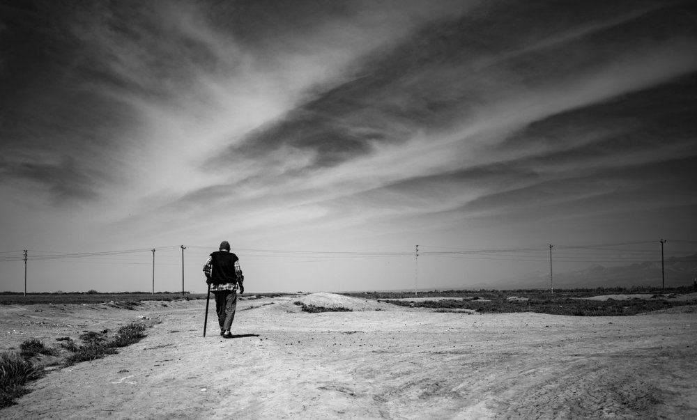 Фотография автора Morteza Sadeghi