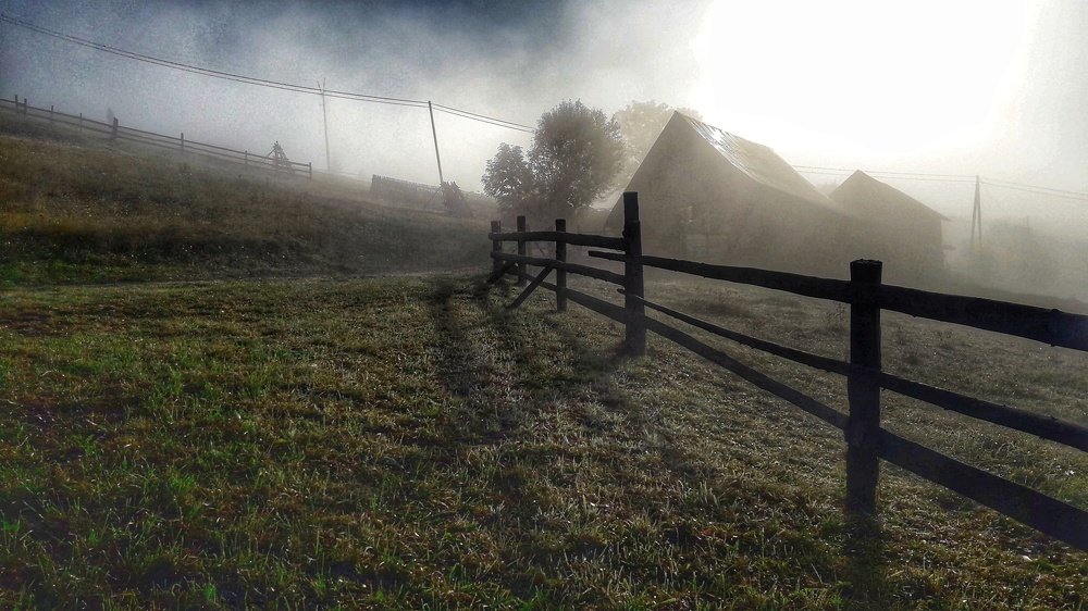 Photo #4906168