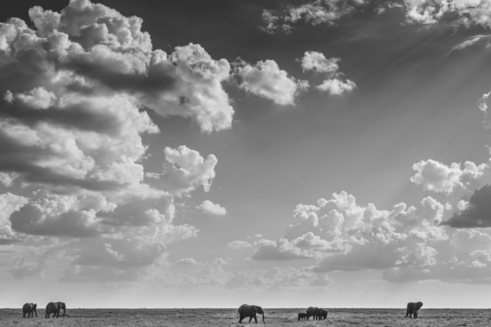 Photograph by Antony Trivet