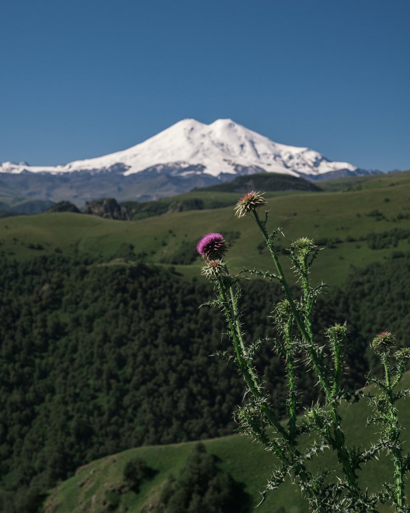 Горы Кавказа.