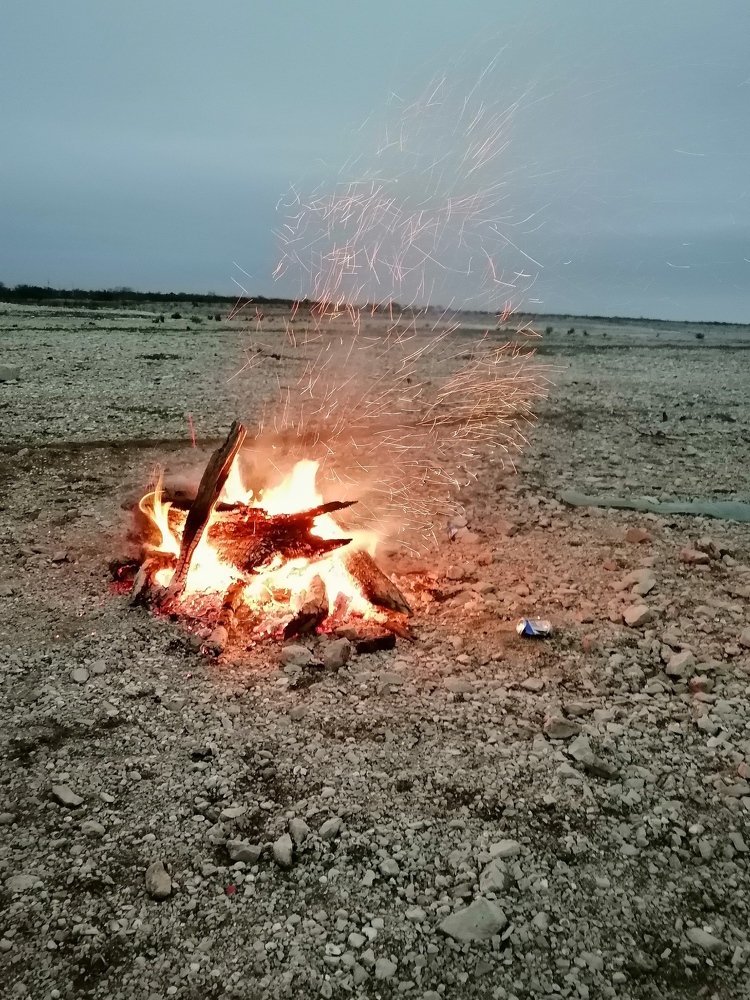 Photo #4906251