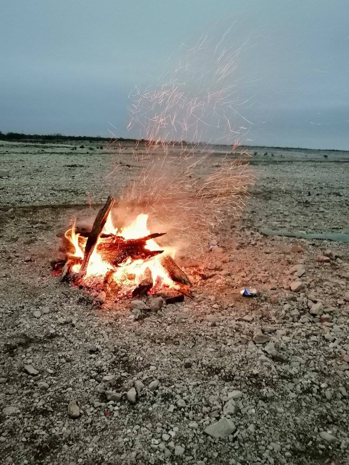 Photo #4906251