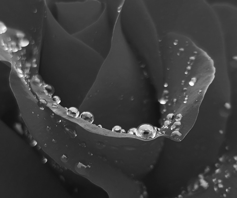 Photograph by Ольга Пумочка-13