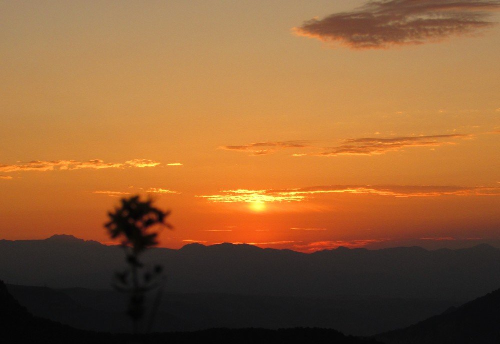 Photograph by shaghik