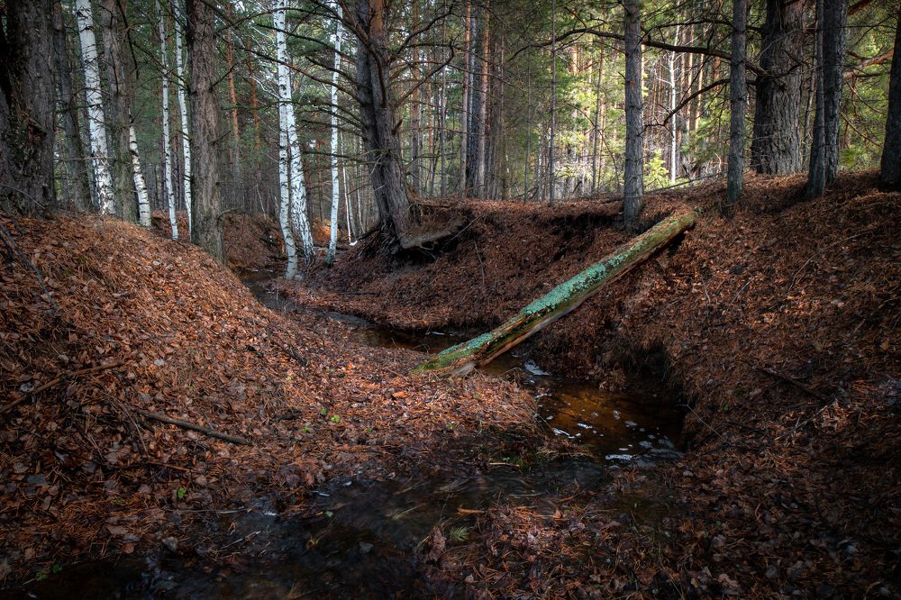 Photograph by Алексей Егорычев