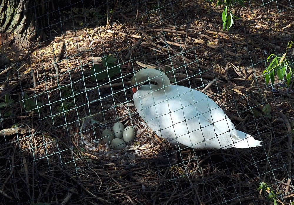 Photograph by Михаил Малец