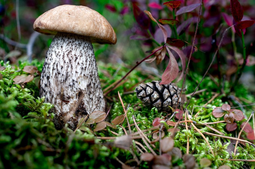 Photograph by Алексей Егорычев