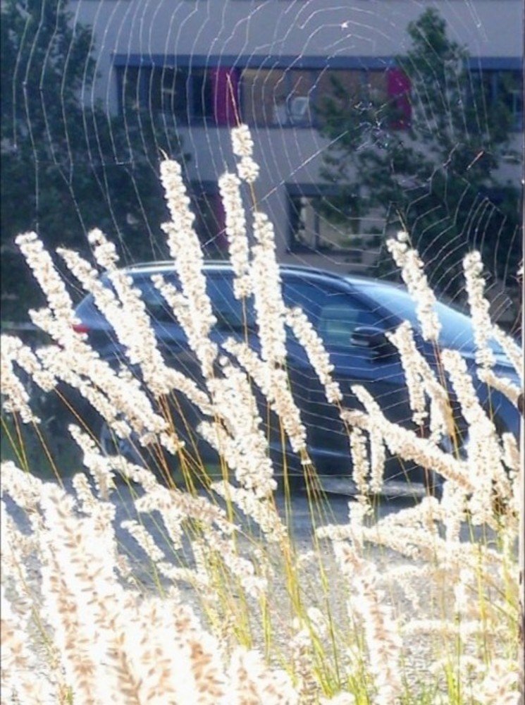 Photograph by Ирина Ерохина