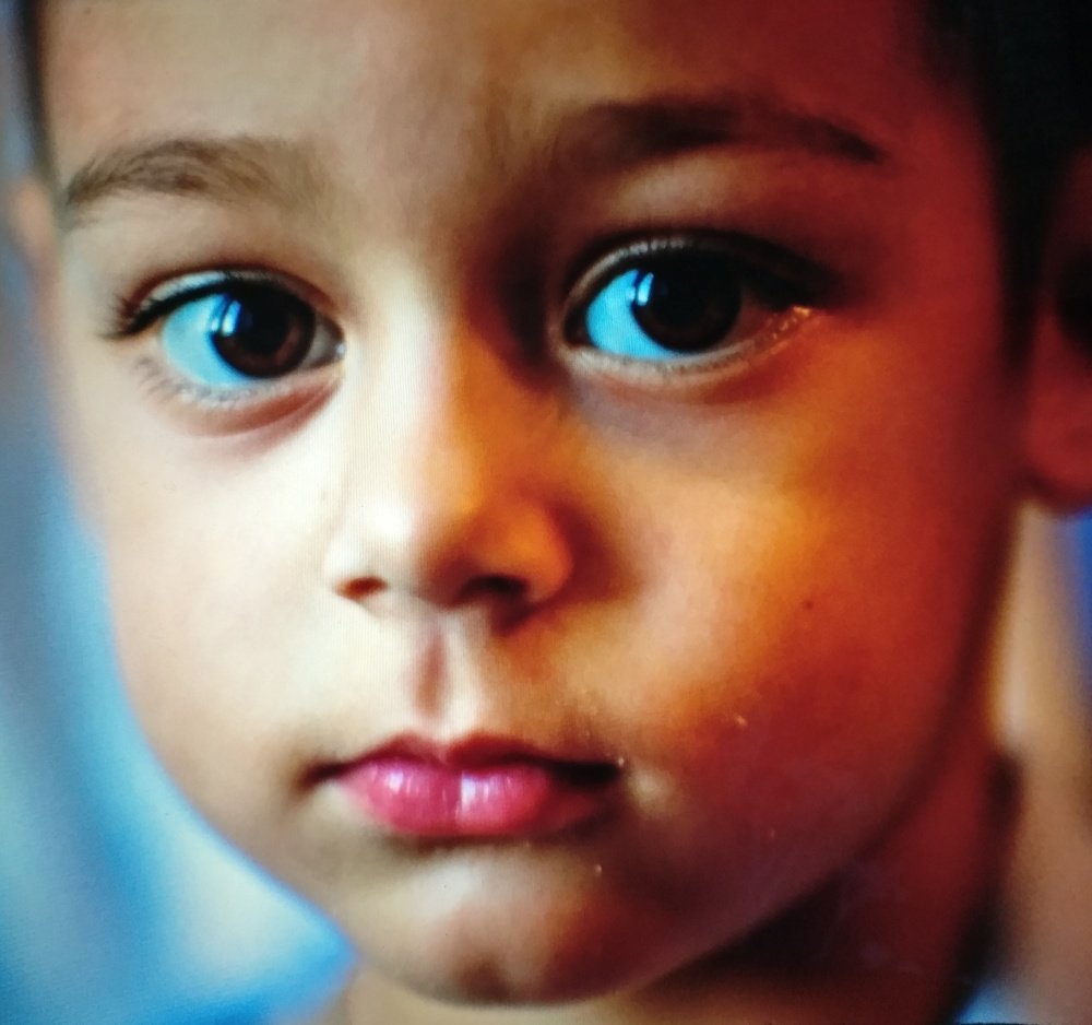 Наблюдатель