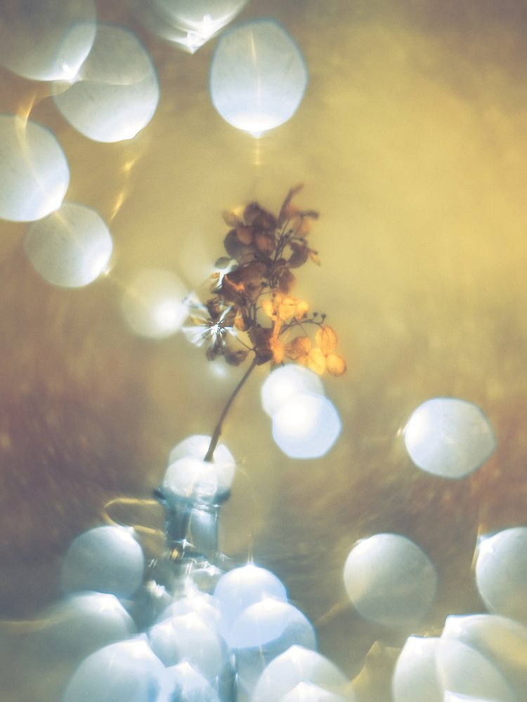 Photograph by Ольга Линк