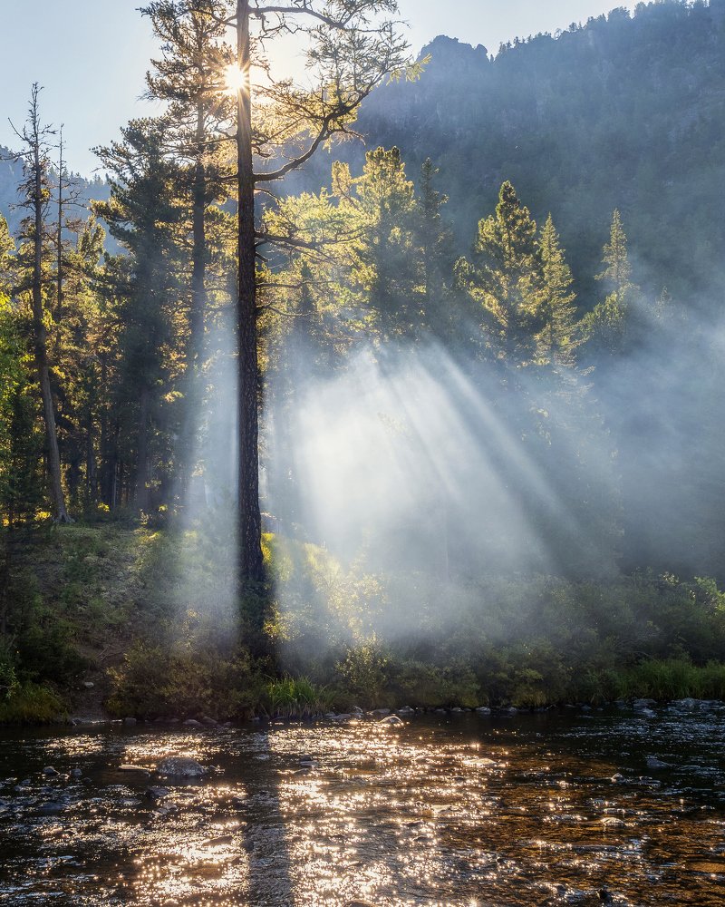 Photograph by Максим Мозжухин