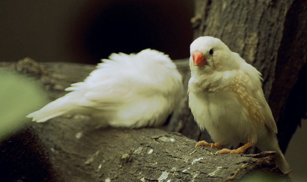 Photograph by Abid Ali Khan