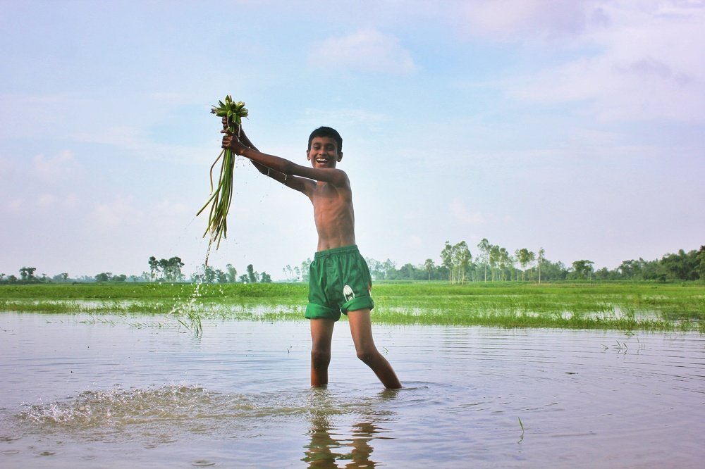 Photograph by Hridoy Hossain