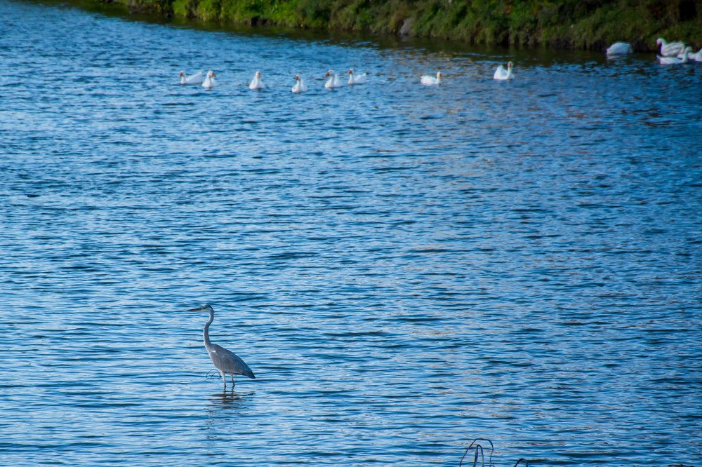 Photograph by Елена Прохорова