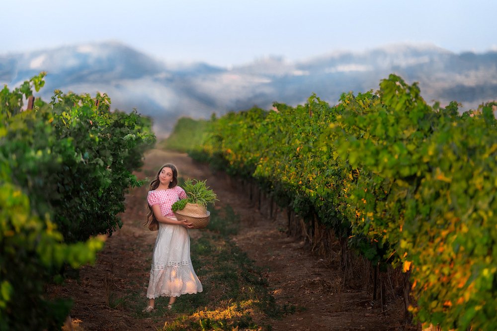 Photograph by Стас Шрайбер