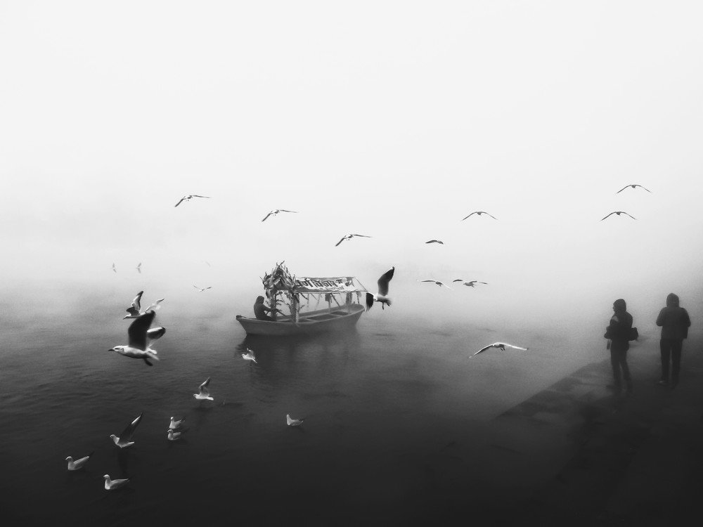 Photograph by Swapnil Bavaria