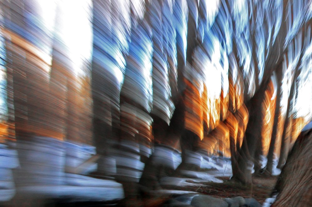 Photograph by mohsen mikaeili