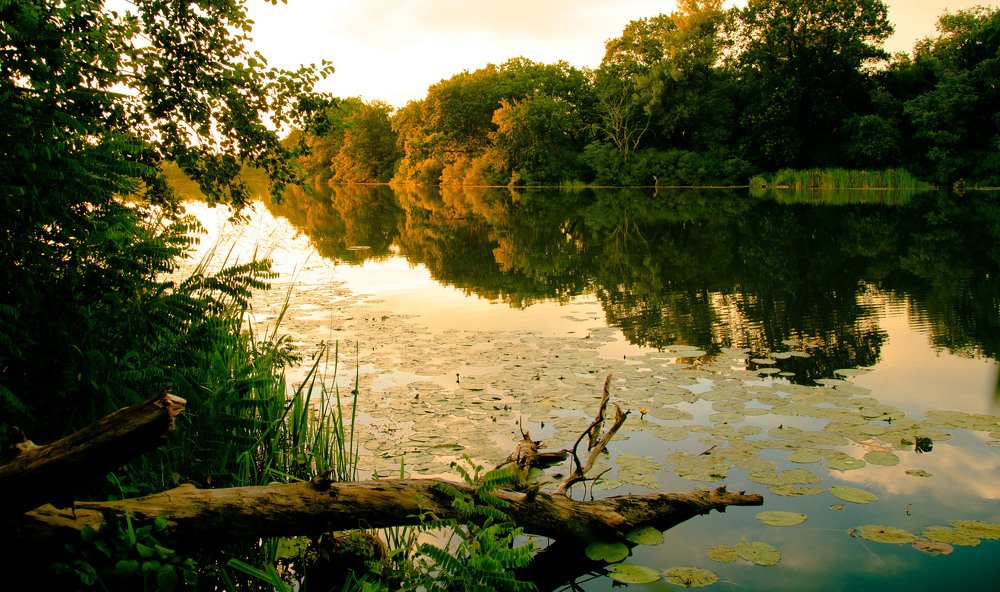 Фотография автора Олег Смирнов