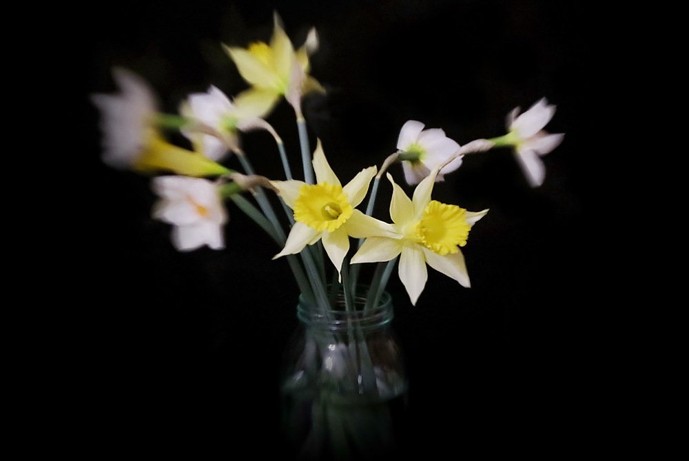 Фотография автора Анатолий Мироненко