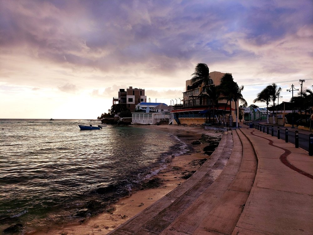 Photograph by Alain Pilgrim