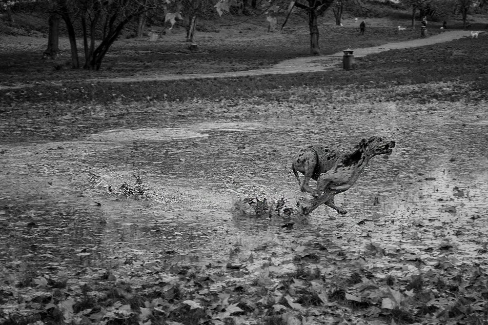 Photograph by Ирина Кононова