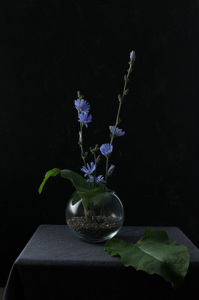 Фотография автора Светлана Бобошина