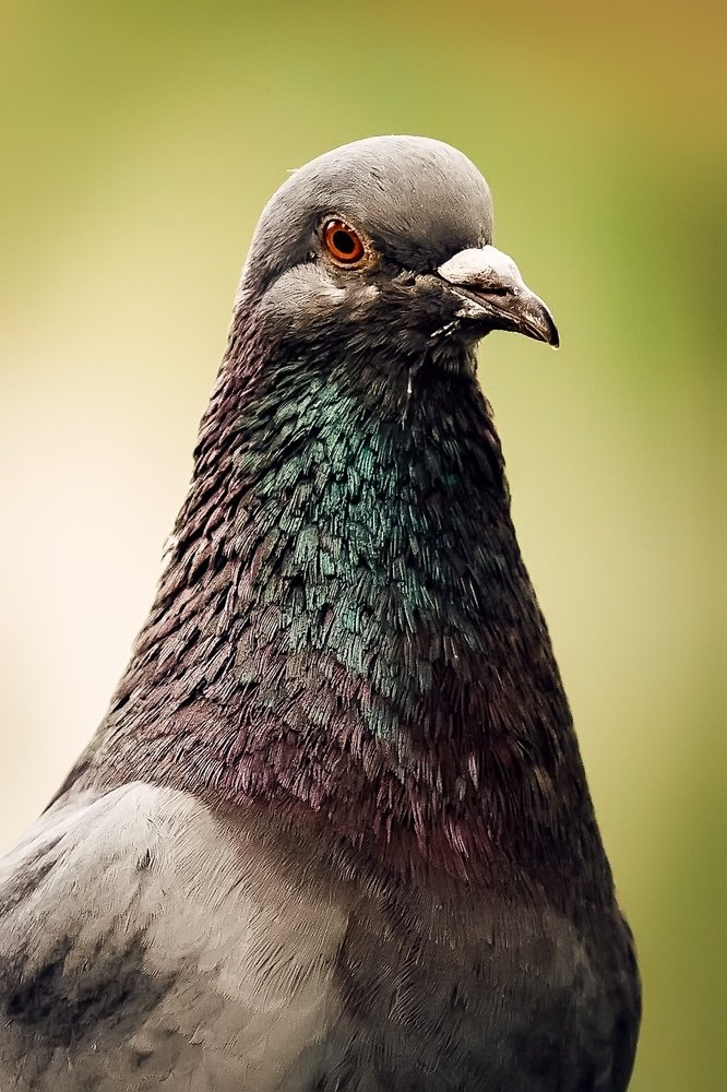 Photograph by Саша Матвеев